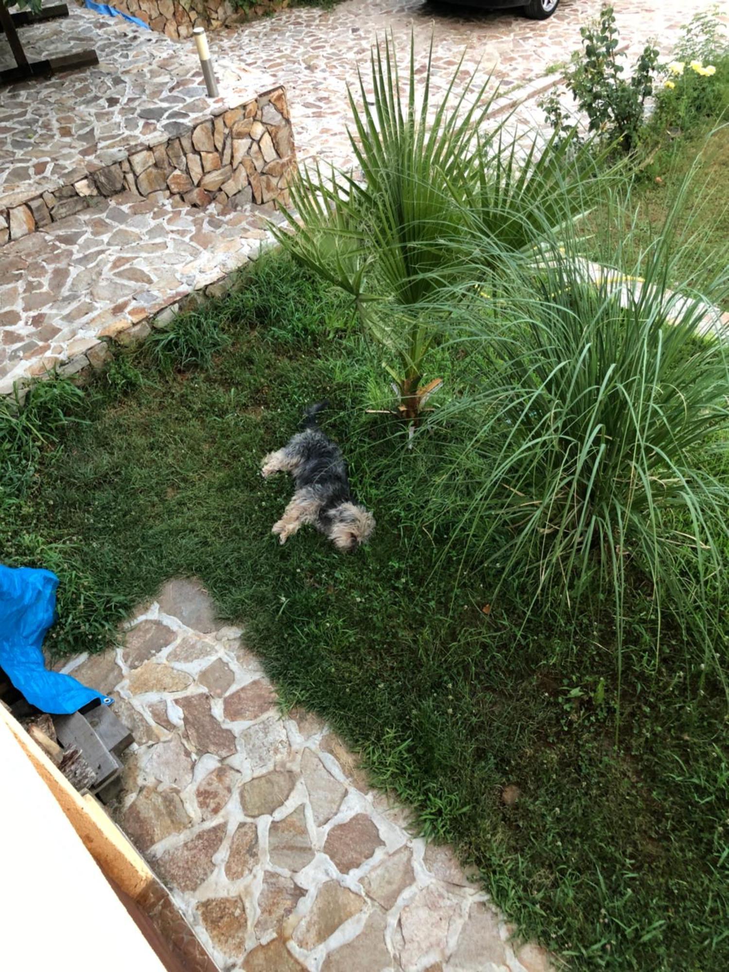 Sunshine villa Dzhigurovo Sandanski Esterno foto
